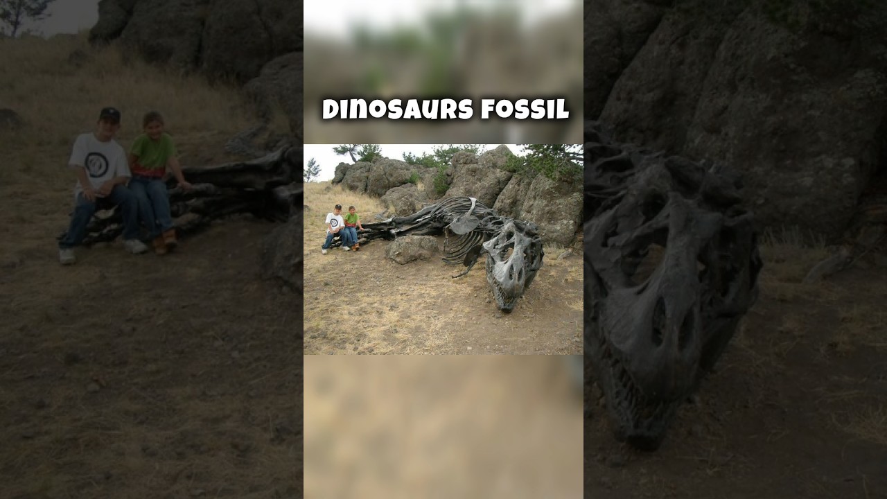 Achievement video 3 thumbnail